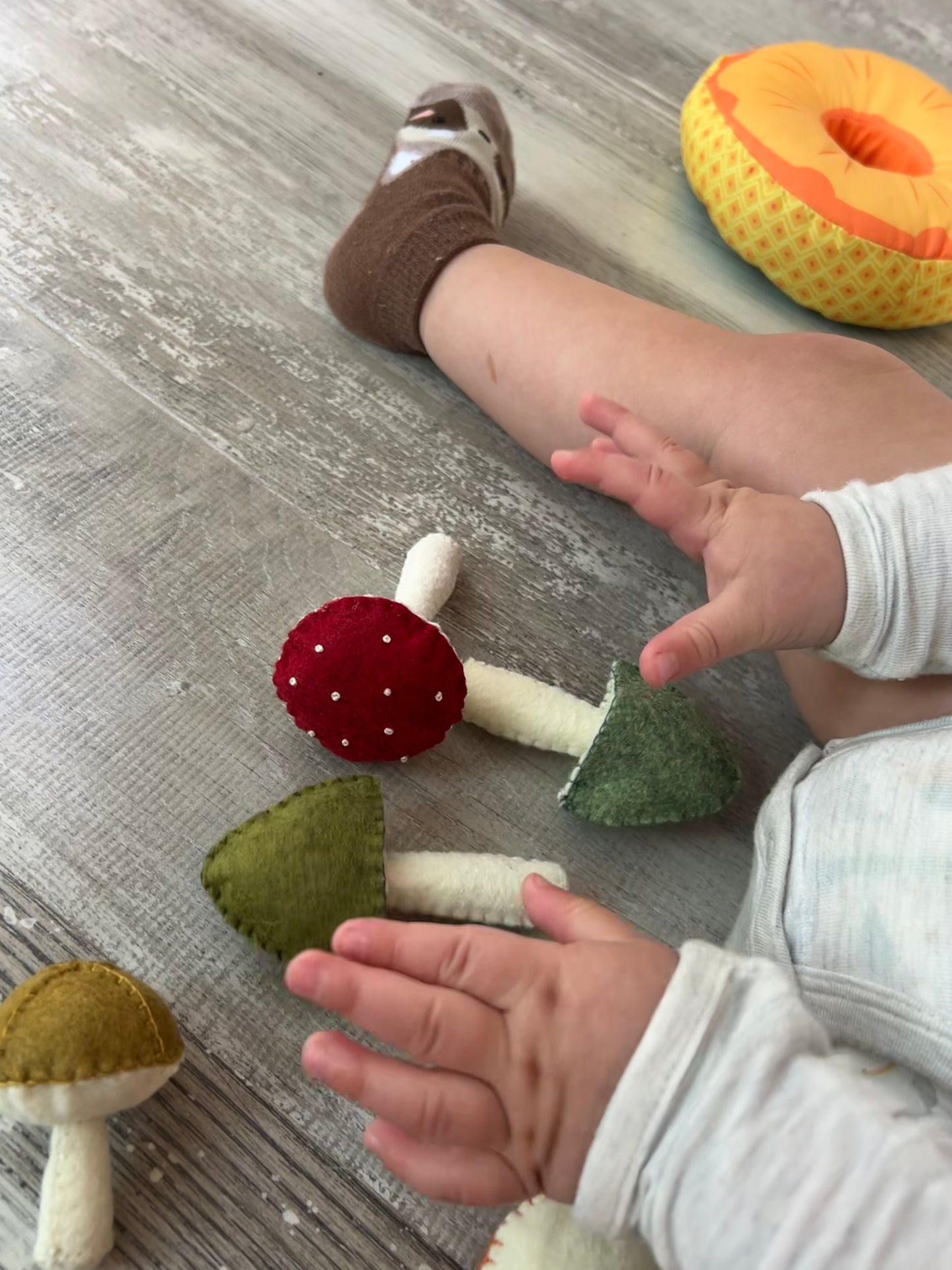 Felt mushroom - Set of 4