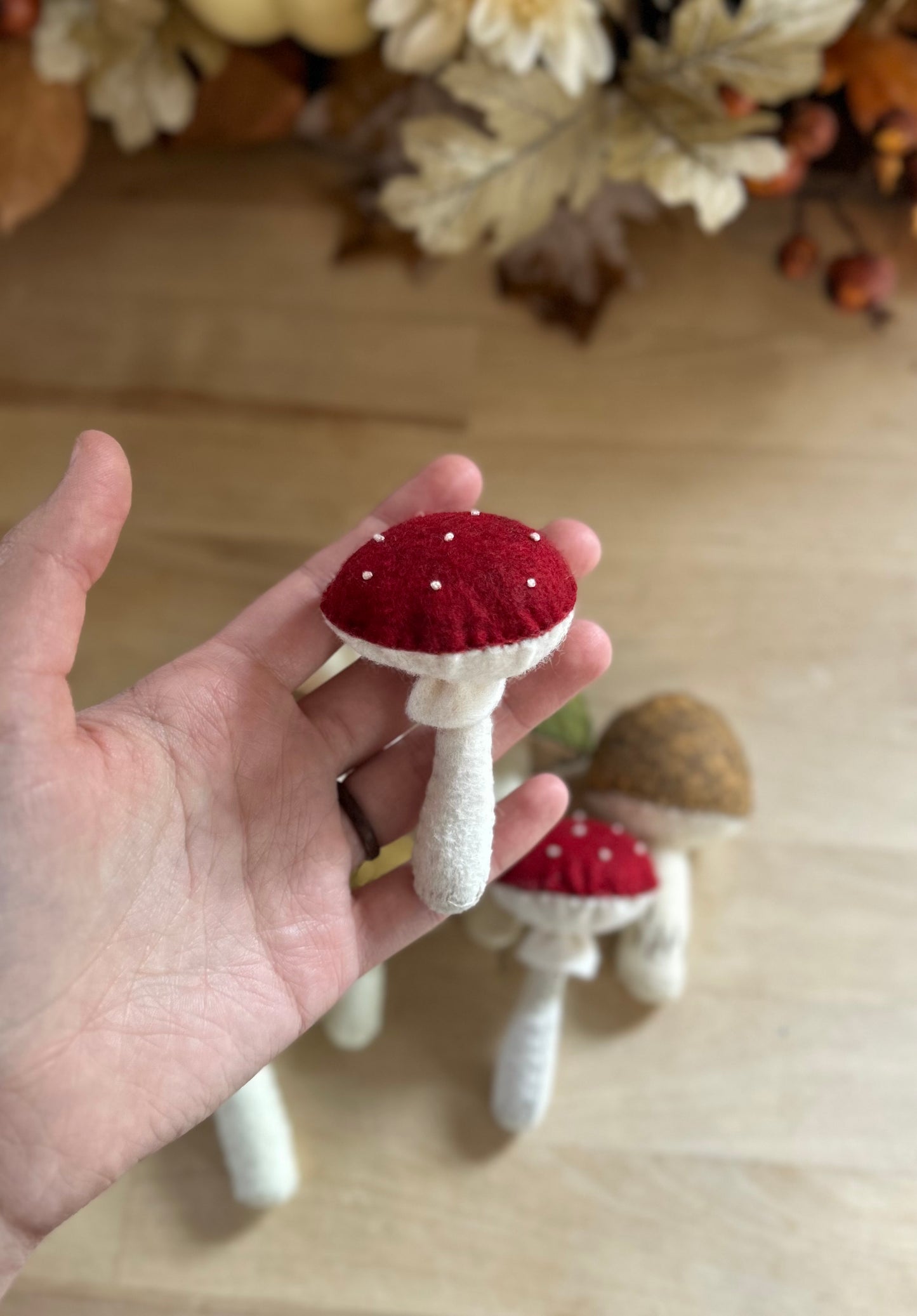 Felt mushroom - Set of 4