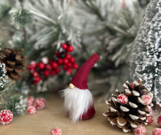 Felt Gnomes