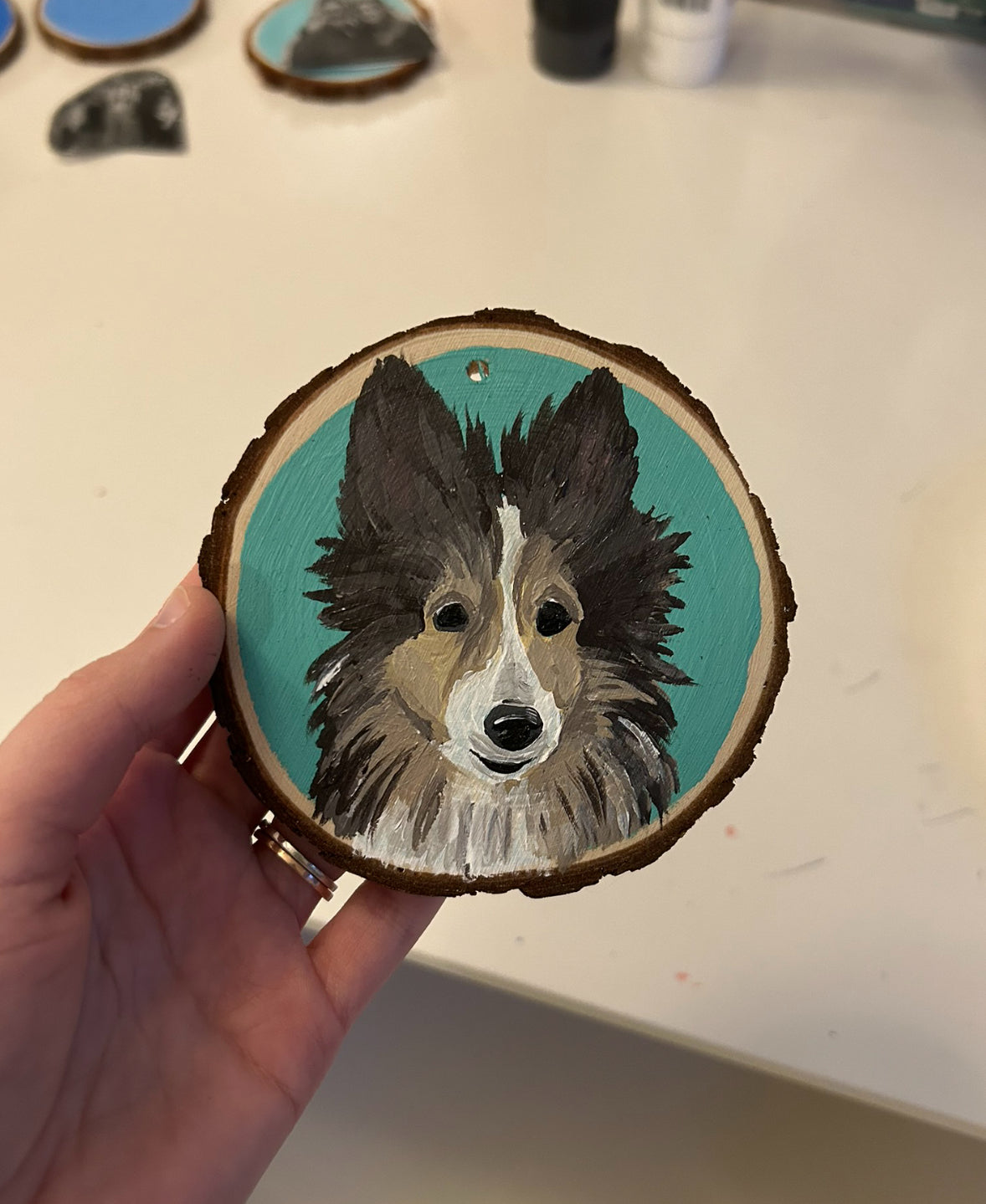 Custom Pet Ornaments